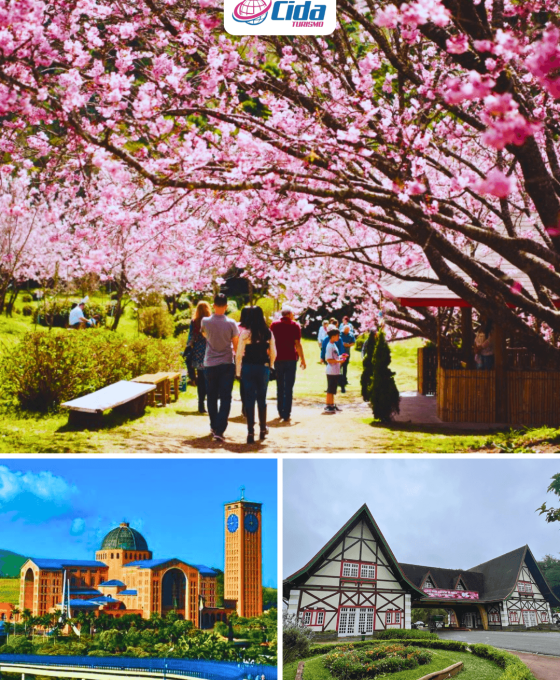 banner-pacote-florada-das-cerejeiras-2026-cida-turismo