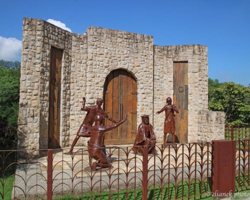 coroa_espinhos_site-1024x683