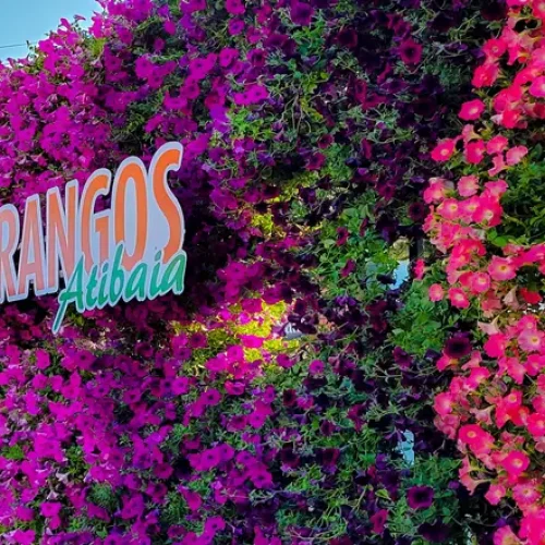 festa-de-flores-e-morangos-de-atibaia-01