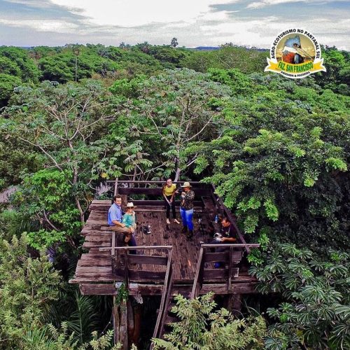 observação-da-natureza
